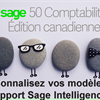 Personnalisation des rapports Sage 50 CA Intelligence à partir d&#39;un modèle en 4 étapes!
